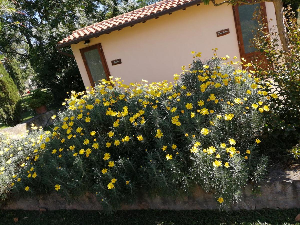 Il Podere Di Sole Роккастрада Экстерьер фото