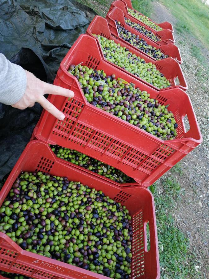 Il Podere Di Sole Роккастрада Экстерьер фото