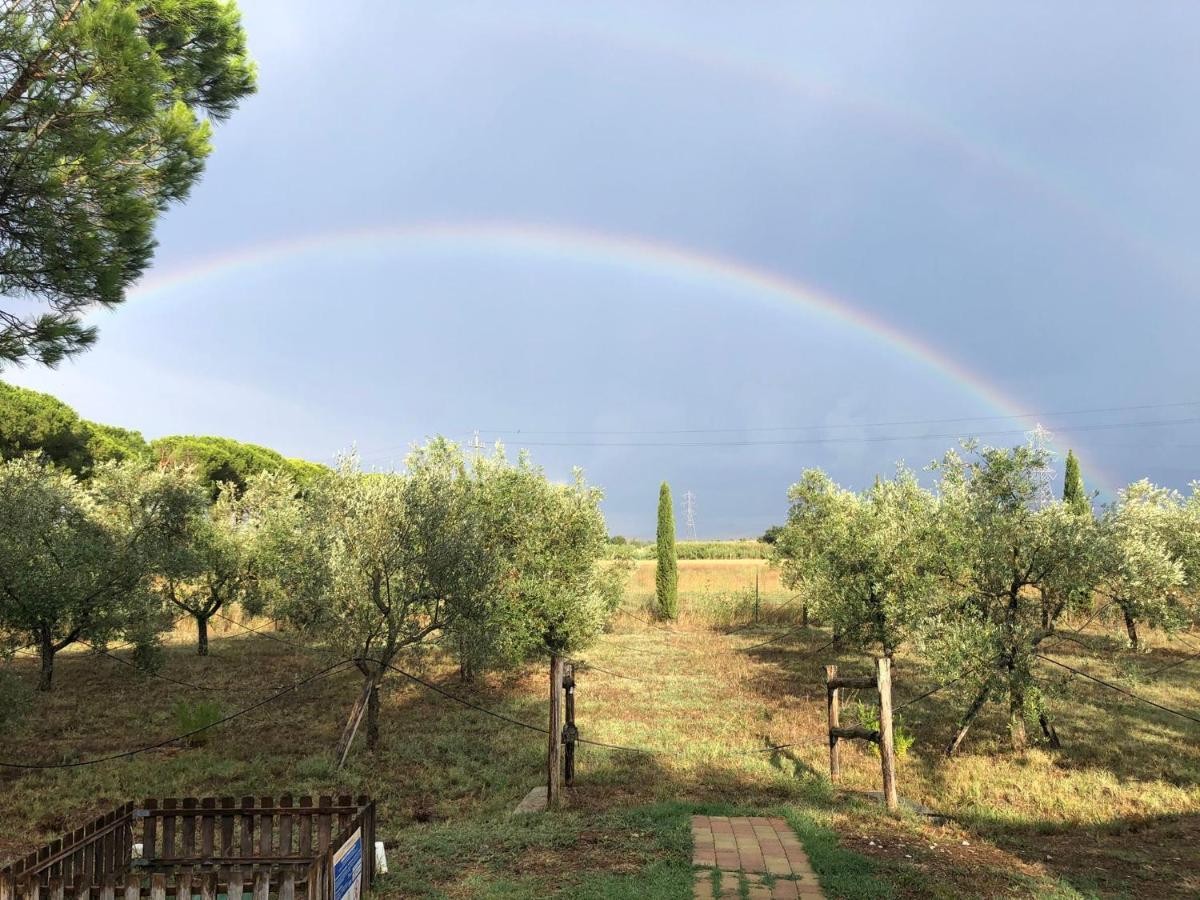 Il Podere Di Sole Роккастрада Экстерьер фото